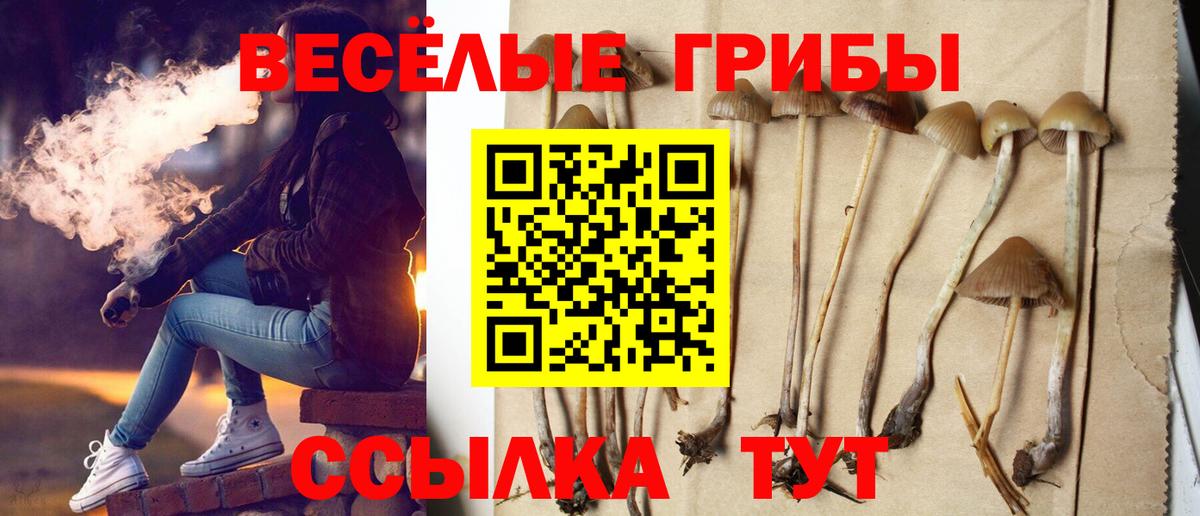 Галлюциногенные грибы мухоморы  Вход с VPN  Таганрог 